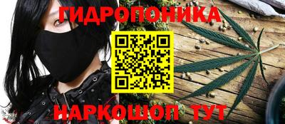 стафф Ставрополь