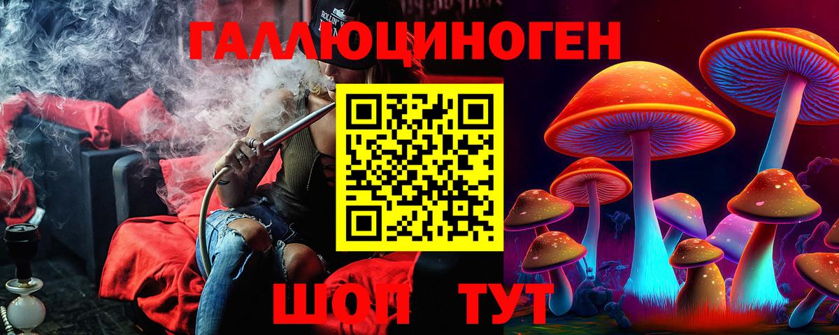 Торжок  Псилоцибиновые грибы MAGIC MUSHROOMS  Вход с VPN 