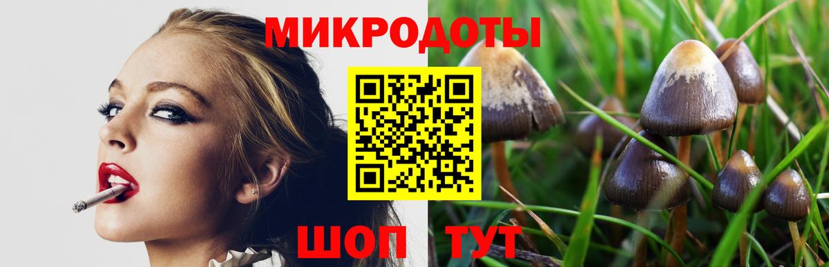 Псилоцибиновые грибы прущие грибы Торжок